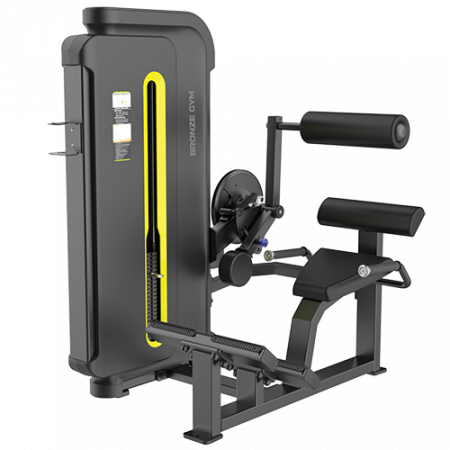 Разгибание спины Bronze Gym BW-3031