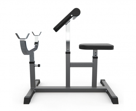 Скамья Скотта DFC Homegym UB009G (серый)