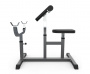 Скамья Скотта DFC Homegym UB009G (серый)