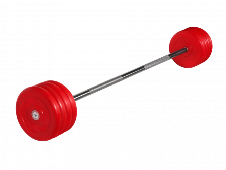 Штанга неразборная MB Barbell 45 кг с грифом 25 мм, обрезиненные цветные диски