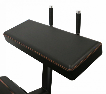 Сгибание ног стоя Bronze Gym Pl-1714