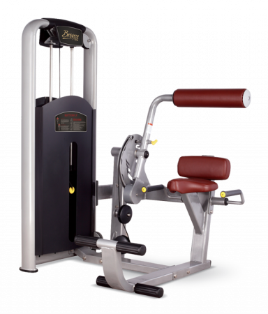 Разгибание спины Bronze Gym MV-009