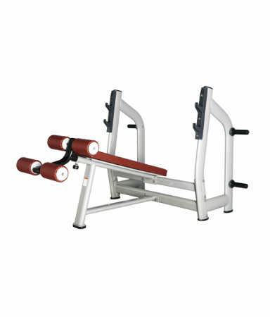 Скамья для жима с отрицательным наклоном Bronze Gym H-024