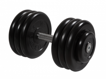 Гантель неразборная Barbell Профи 33,5 кг с вращающейся ручкой