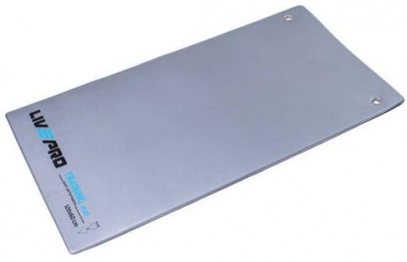 Гимнастический коврик Livepro Hanging Core Mat
