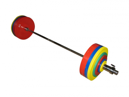 Штанга для пауэрлифтинга Profigym 302,5 кг цветные диски