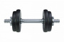 Гантель разборная Start UP HD-2601-10 10 кг