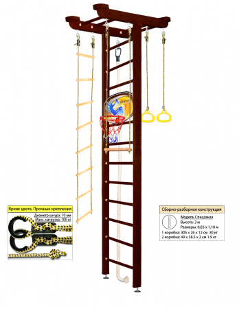 Шведская стенка Kampfer Big Sport Ceiling Basketball Shield (Высота 3 м)