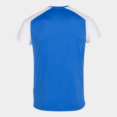 Футболка мужская Joma Record II сине-белая
