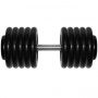 Гантель Barbell 58,5 кг профи