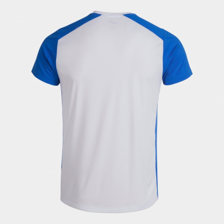 Футболка мужская Joma Record II бело-синяя