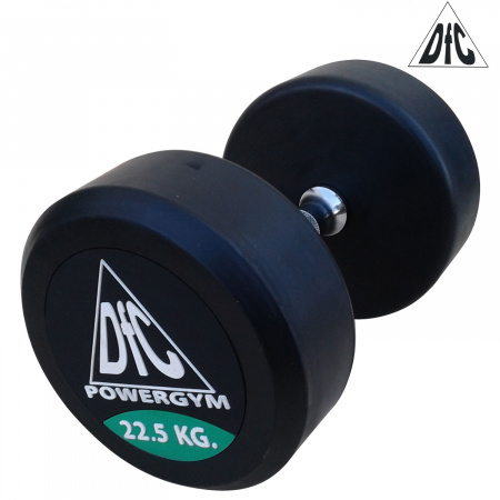 Гантели пара 22.5 кг DFC PowerGym