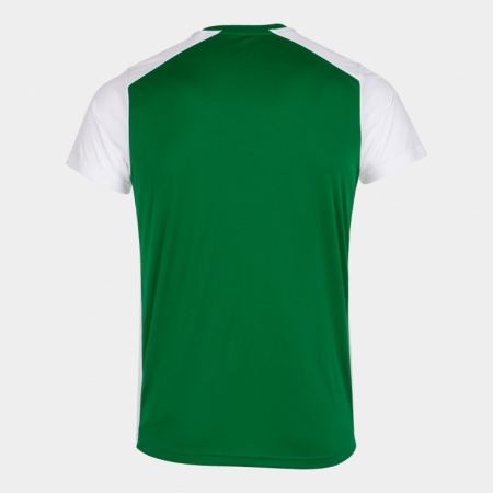 Футболка мужская Joma Record II зелено-белая